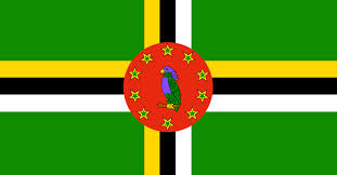 Quốc kỳ của Cộng hòa Dominica rực rỡ màu sắc có hình ảnh một chú vẹt làm trung tâm. Đây là loài vẹt đặc hữu của quốc gia này, đang trong tình trạng cần được bảo tồn.